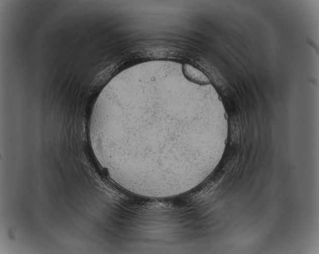 X0000097650453200803280933