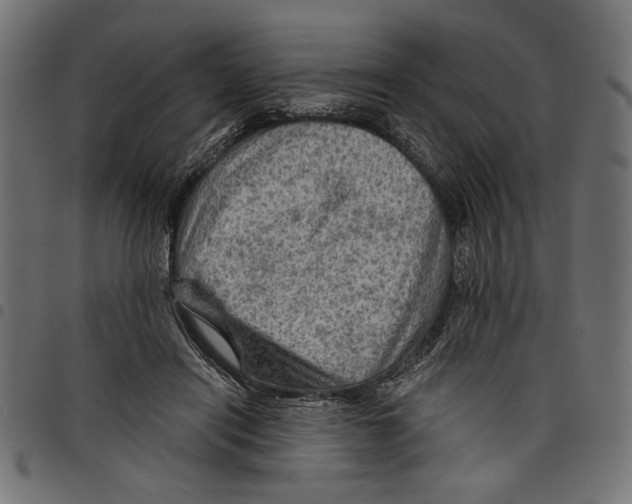 X0000097650454200803280933