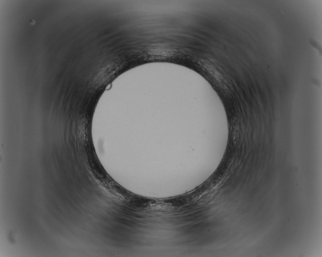 X0000097650455200803280933