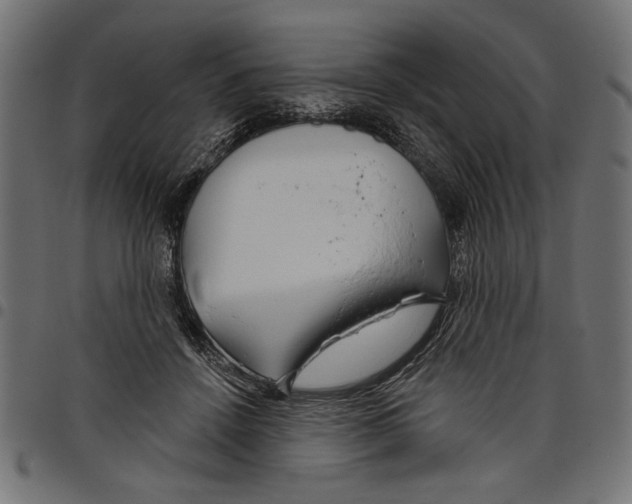 X0000097650456200803280933