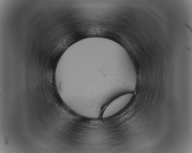 X0000097650458200803280933