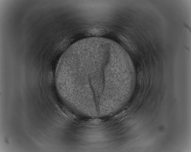 X0000097650459200803280933