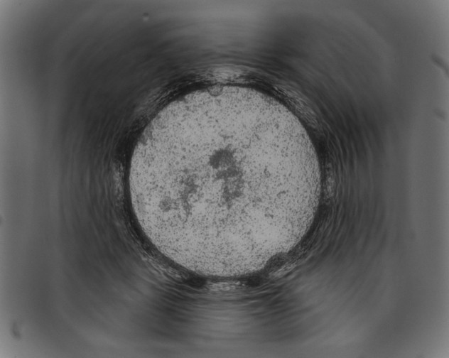 X0000097650461200803280933