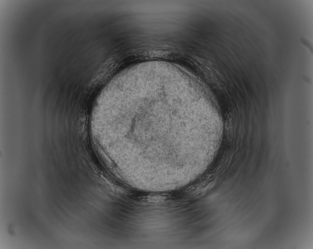 X0000097650462200803280933