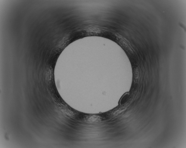 X0000097650463200803280933