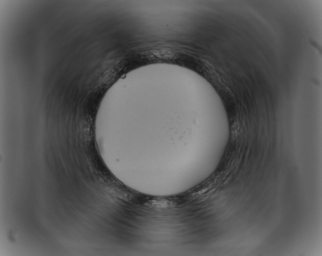 X0000097650464200803280933