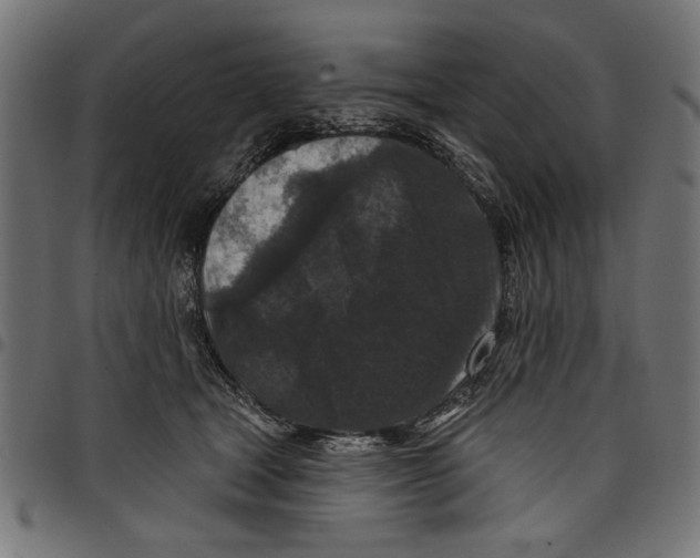 X0000097650465200803280933