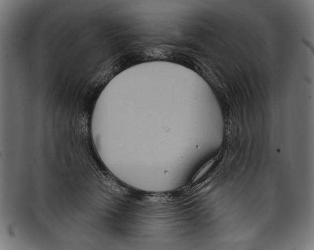 X0000097650466200803280933