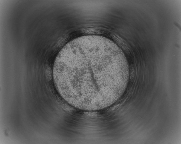 X0000097650469200803280933