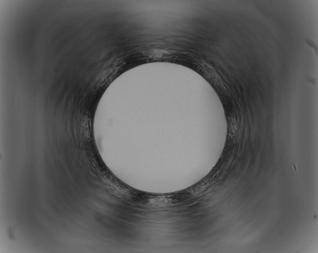 X0000097650470200803280933