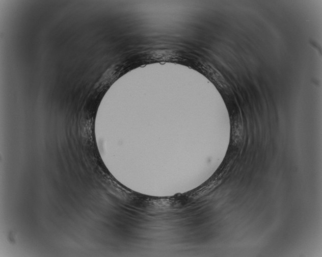 X0000097650473200803280933