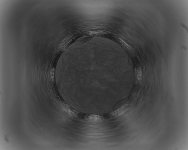 X0000097650475200803280933