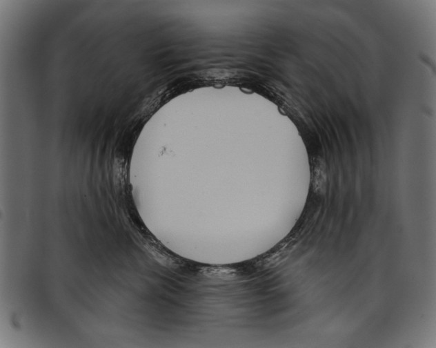 X0000097650476200803280933