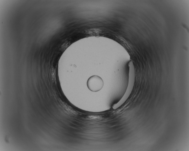 X0000097650477200803280933