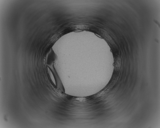 X0000097650478200803280933