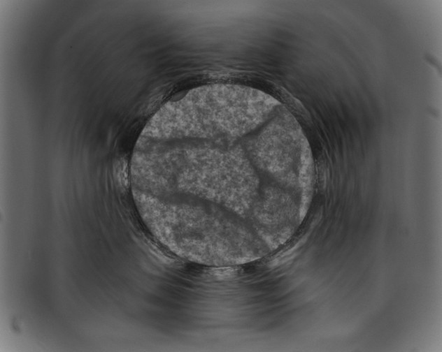 X0000097650479200803280933