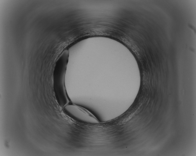 X0000097650481200803280932