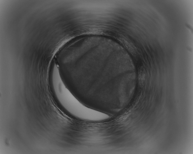 X0000097650484200803280932