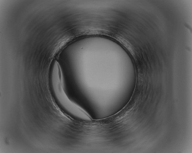 X0000097650485200803280932