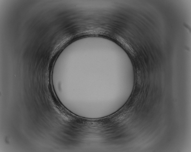 X0000097650486200803280932