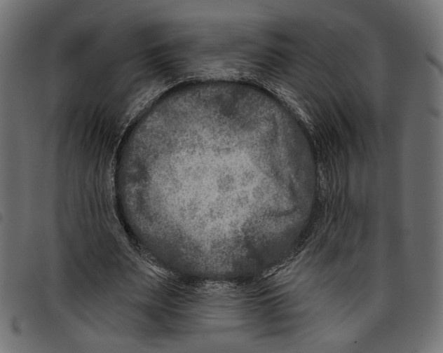 X0000097650487200803280932