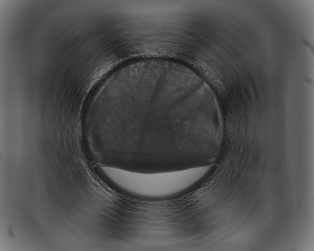 X0000097650488200803280932