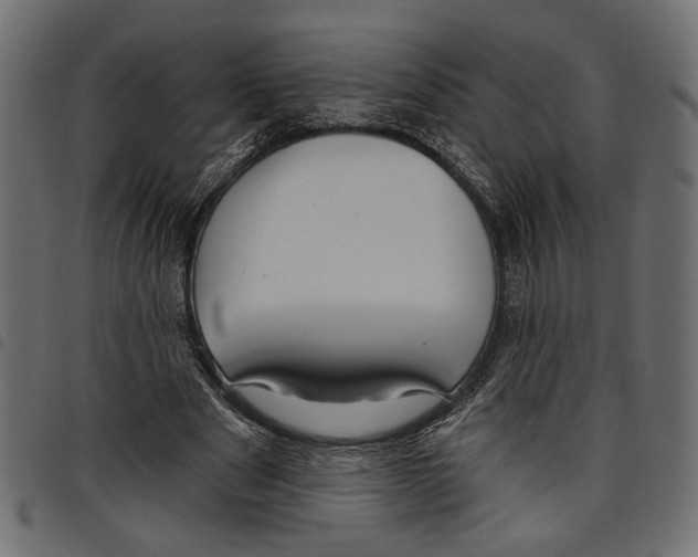 X0000097650489200803280932