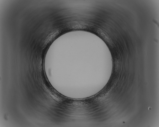 X0000097650490200803280932