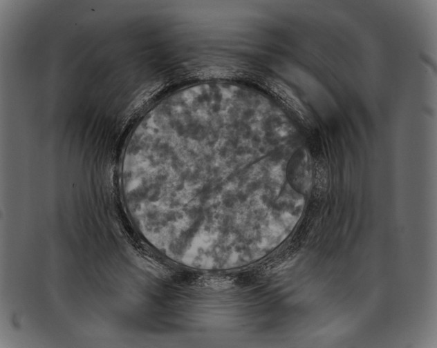 X0000097650491200803280932