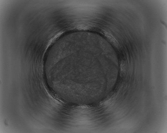 X0000097650492200803280932