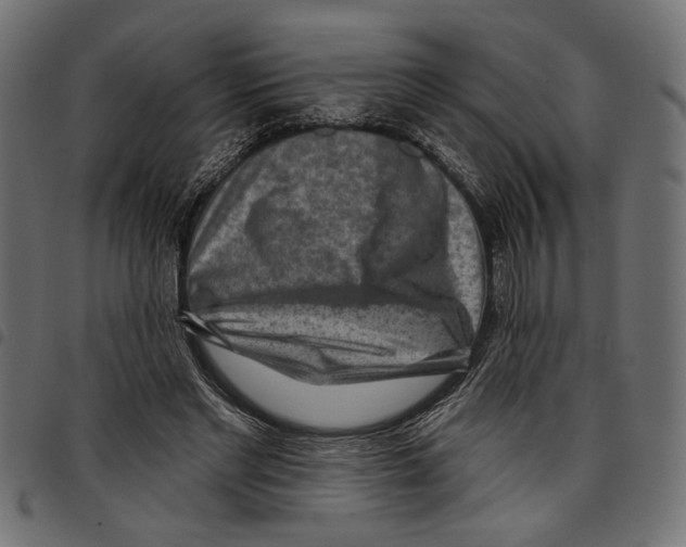 X0000097650493200803280932