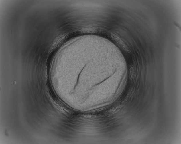 X0000097650494200803280932