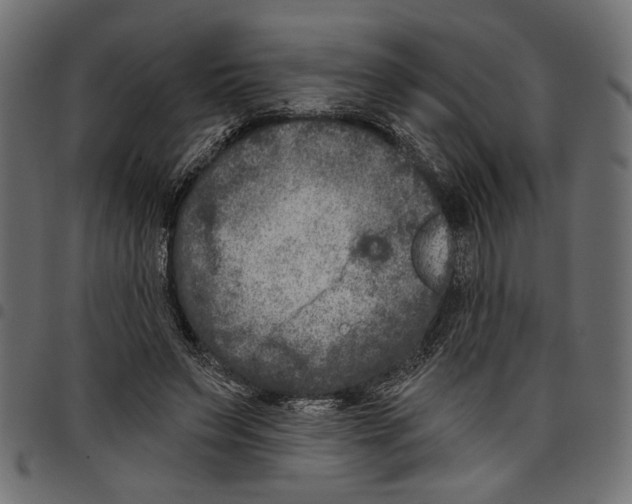 X0000097650495200803280932