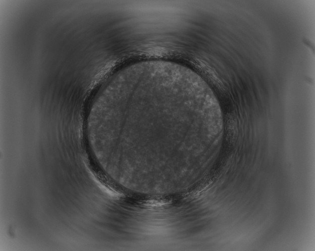 X0000097650496200803280932