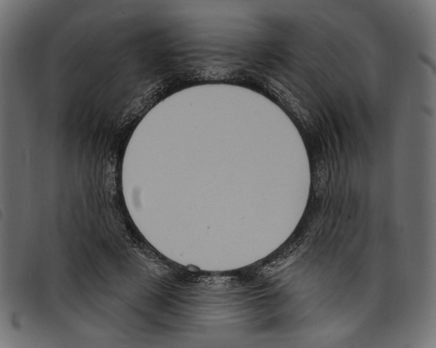 X0000097650497200803280932