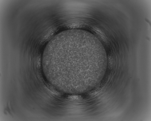 X0000097650499200803280932