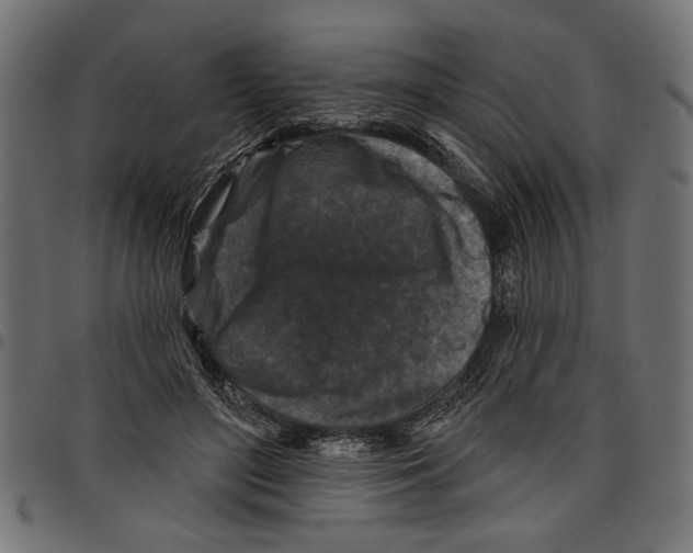 X0000097650500200803280932