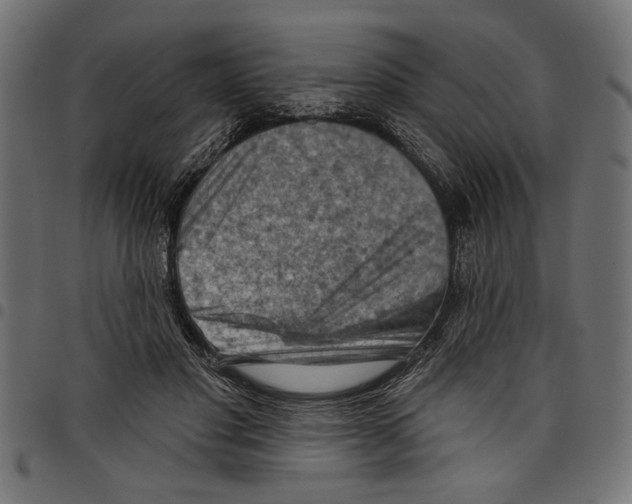 X0000097650501200803280932