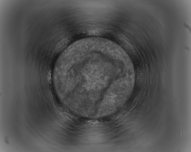 X0000097650502200803280932