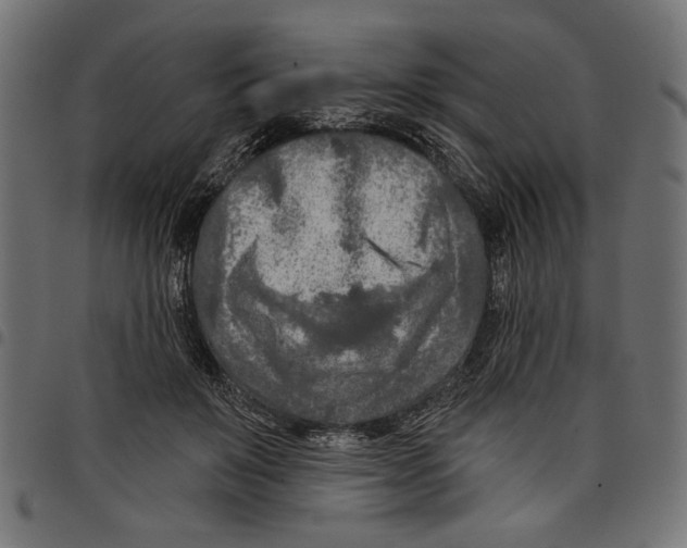 X0000097650503200803280932