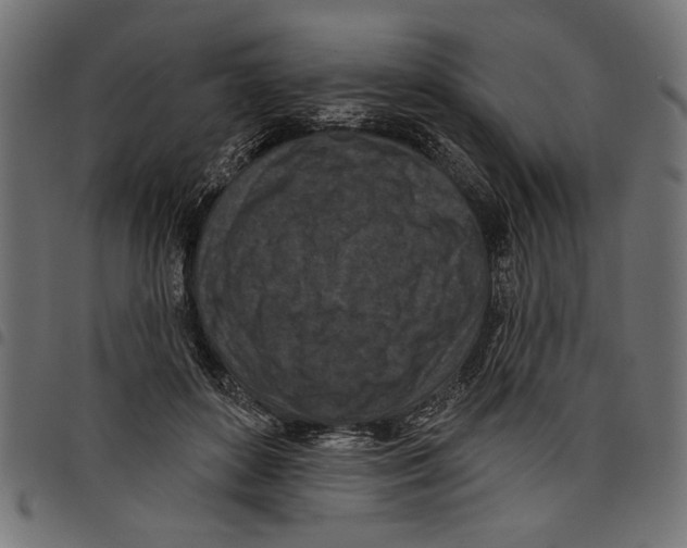 X0000097650504200803280932