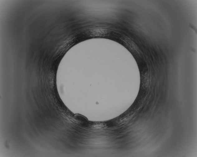 X0000097650505200803280932