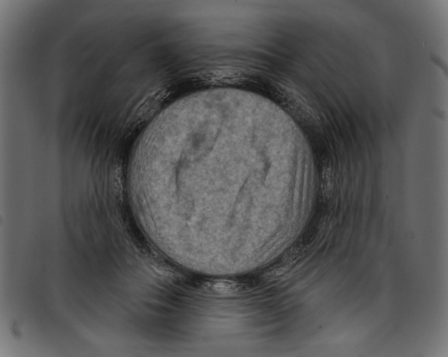 X0000097650506200803280932