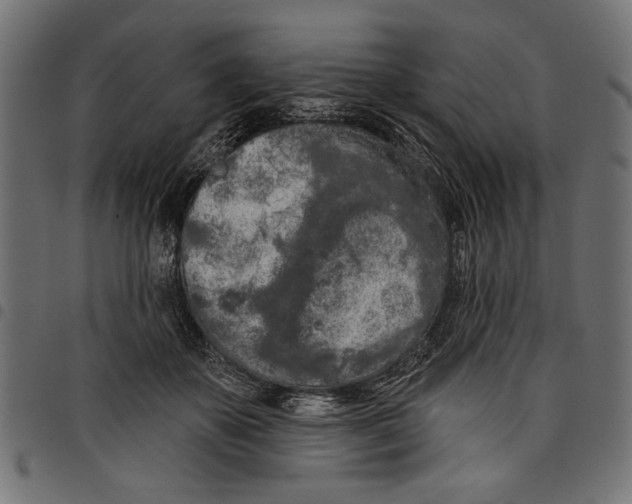 X0000097650507200803280932