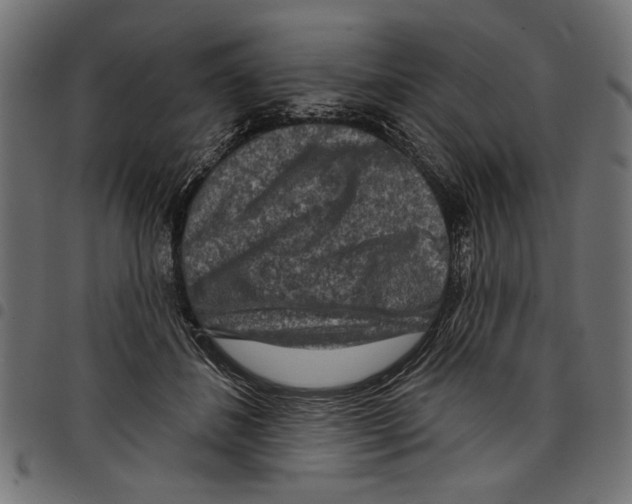 X0000097650508200803280932