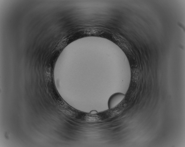 X0000097650510200803280932