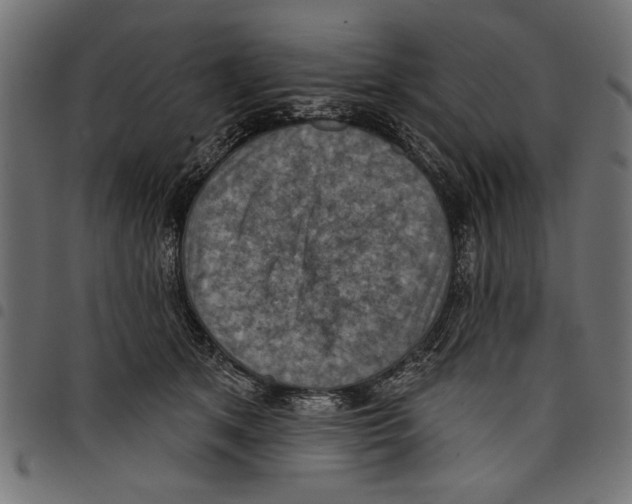 X0000097650513200803280932