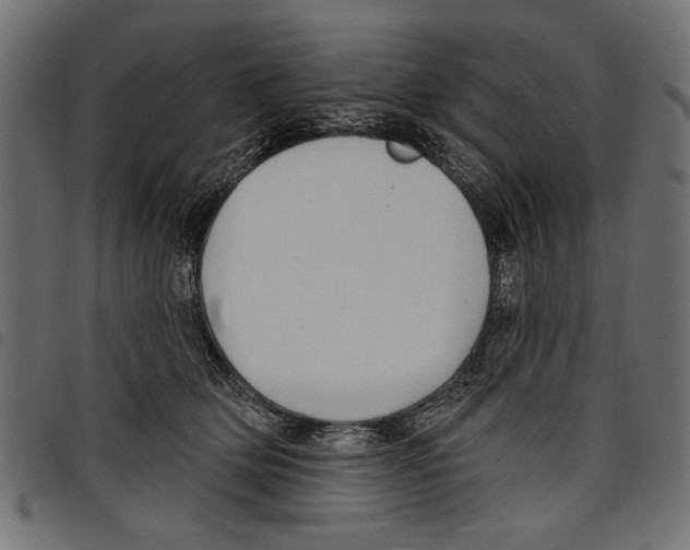 X0000097650514200803280932