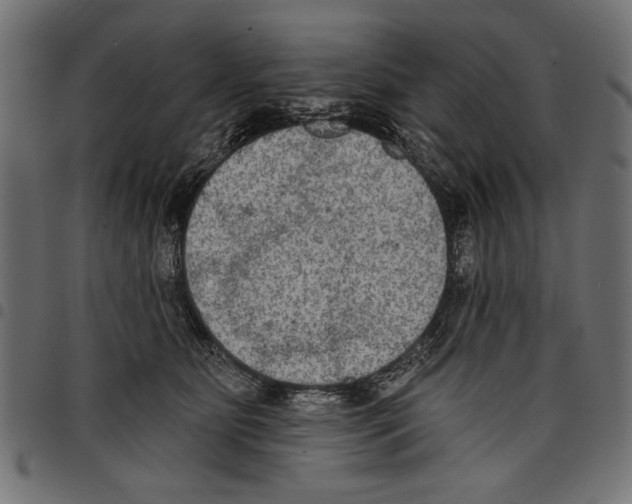 X0000097650515200803280932