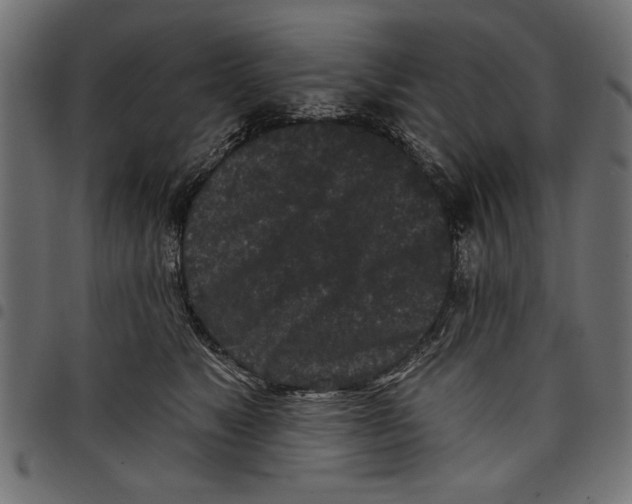 X0000097650517200803280932